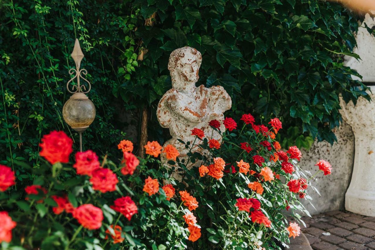 Apartmaji Urska Laško Exteriér fotografie