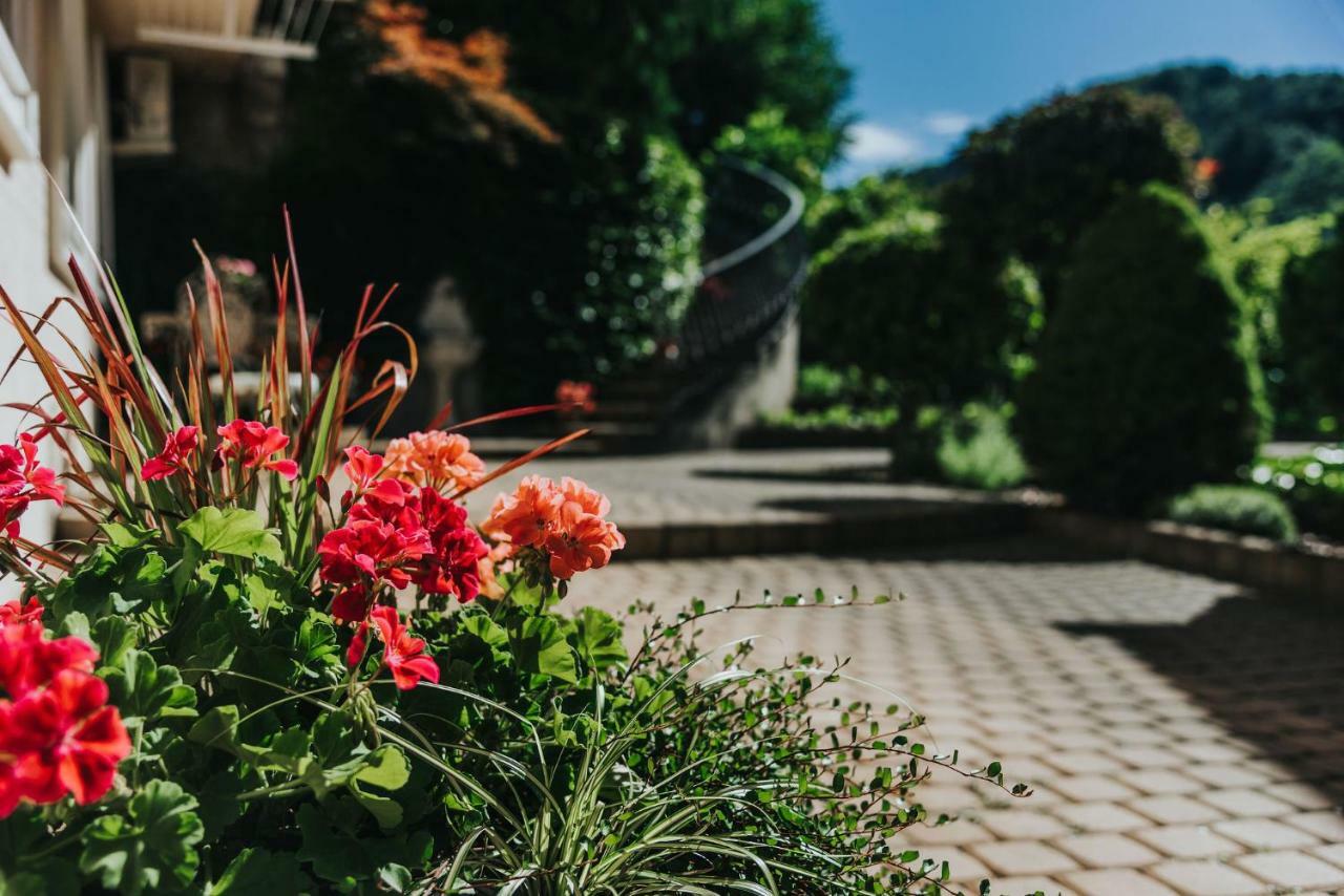 Apartmaji Urska Laško Exteriér fotografie