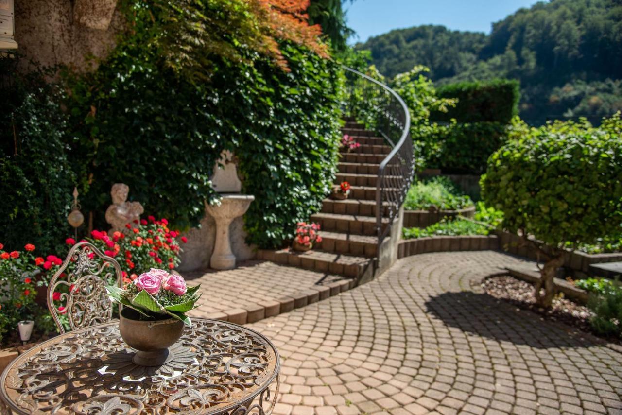 Apartmaji Urska Laško Exteriér fotografie